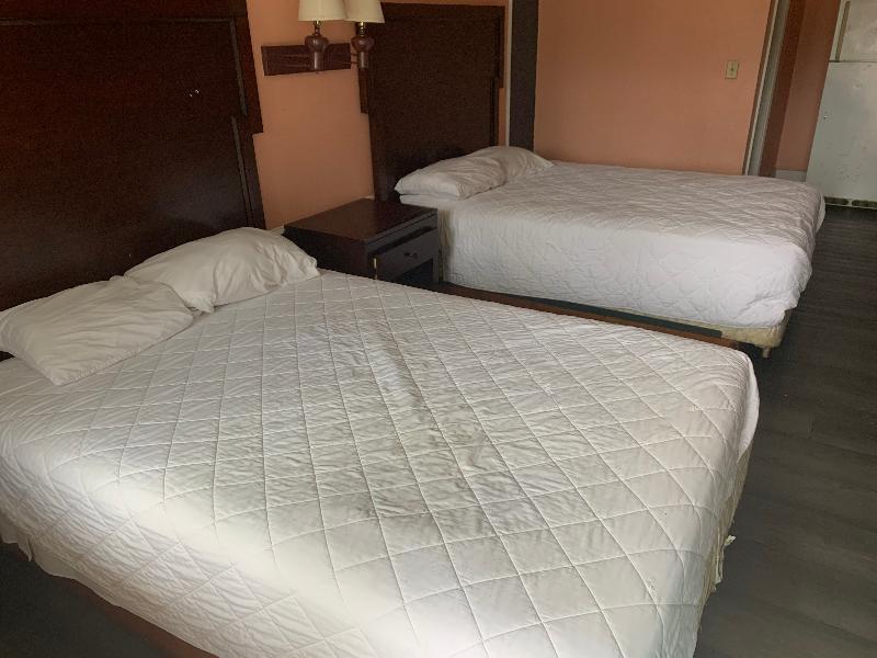Oyo Hotel Myrtle Beach Kings Hwy Екстериор снимка